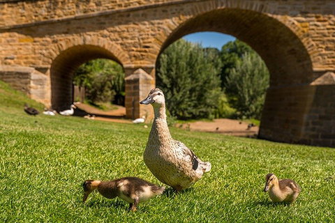 Richmond Historic Afternoon Tour From Hobart - Find Attractions 1