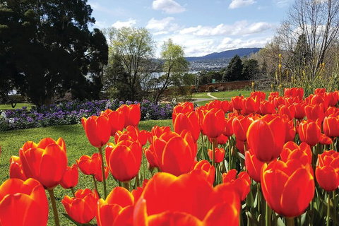 Hobart Half-Day Sightseeing Coach Tram Tour - Find Attractions 4