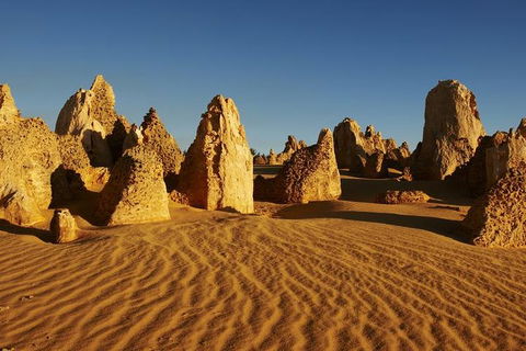 Full Day Pinnacle Desert Explorer From Perth Including Hillarys And Lancelin Sandboarding - Find Attractions 3