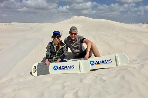 Full Day Pinnacle Desert Explorer From Perth Including Hillarys And Lancelin Sandboarding - Find Attractions 4