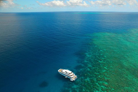 Great Barrier Reef Snorkeling And Diving Cruise From Cairns - Find Attractions 4
