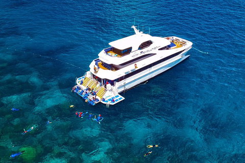 Great Barrier Reef Snorkeling And Diving Cruise From Cairns - Find Attractions 5