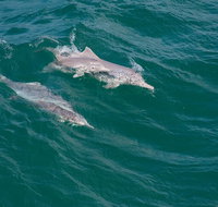 North Stradbroke Island Private Tour with Pickup - Find Attractions