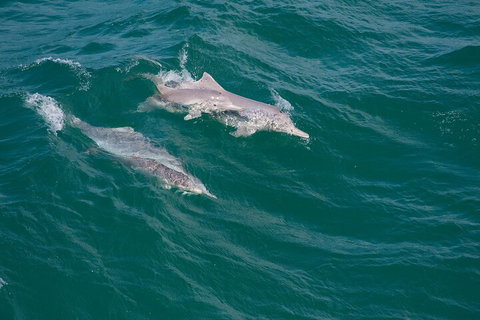 North Stradbroke Island Private Tour With Pickup - Find Attractions 0