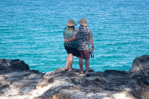North Stradbroke Island Private Tour With Pickup - Find Attractions 4