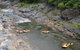 Barron River Half-Day White Water Rafting From Cairns - thumb 2