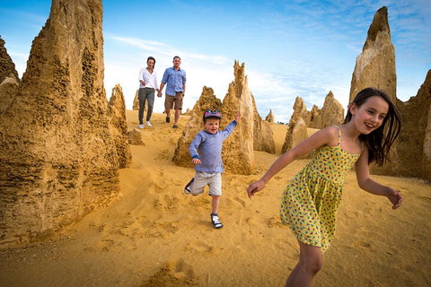 Full-Day Pinnacles Desert And Yanchep National Park Tour From Perth - Find Attractions 0