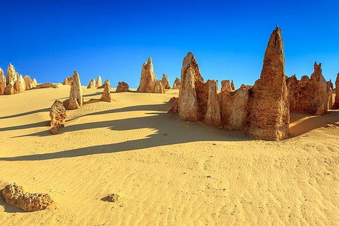 Full-Day Pinnacles Desert And Yanchep National Park Tour From Perth - Find Attractions 2