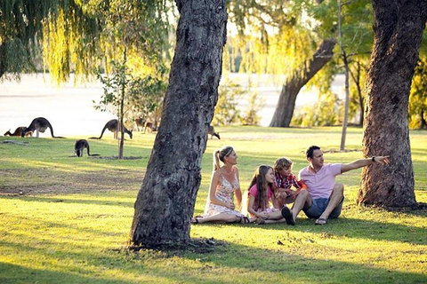 Full-Day Pinnacles Desert And Yanchep National Park Tour From Perth - Find Attractions 3