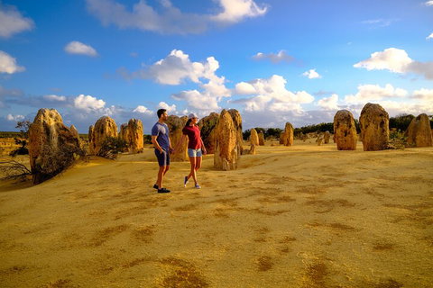 Full-Day Pinnacles Desert And Yanchep National Park Tour From Perth - Find Attractions 4