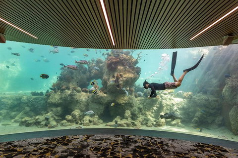 Whitehaven Beach And Daydream Island Cruise - Find Attractions 4