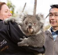 Bonorong Wildlife Park and Richmond Afternoon Tour from Hobart - Find Attractions
