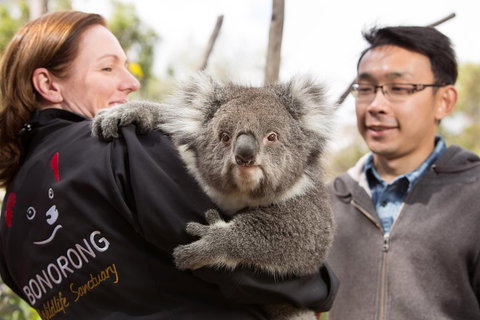 Bonorong Wildlife Park And Richmond Afternoon Tour From Hobart - Find Attractions 0