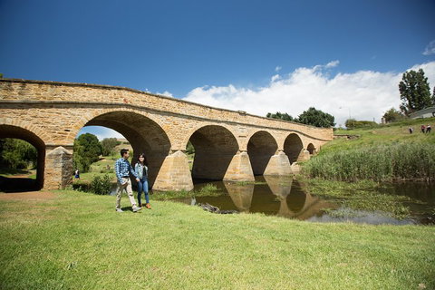 Bonorong Wildlife Park And Richmond Afternoon Tour From Hobart - Find Attractions 2