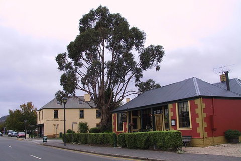 Bonorong Wildlife Park And Richmond Afternoon Tour From Hobart - Find Attractions 3