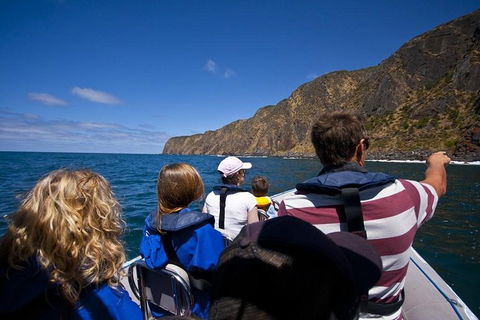 Seal Island Boat Tour From Victor Harbor - Find Attractions 0