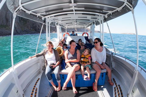 Seal Island Boat Tour From Victor Harbor - Find Attractions 1