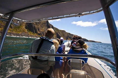 Seal Island Boat Tour From Victor Harbor - Find Attractions 2