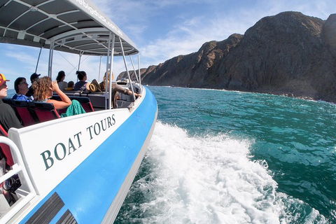 Southern Ocean Adventure From Victor Harbor - Find Attractions 0