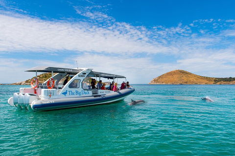 Southern Ocean Adventure From Victor Harbor - Find Attractions 1