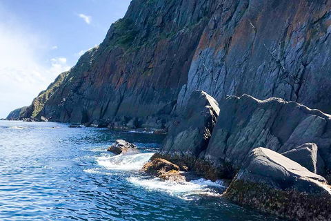 Southern Ocean Adventure From Victor Harbor - Find Attractions 3
