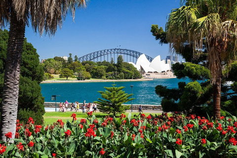 Sydney Luxury Private Shore Excursion | 6 Hr Tour | Departs From Cruise Terminal - Find Attractions 5