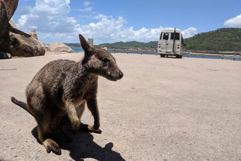 Magnetic Island Tour: Maggie Comprehensive - Find Attractions 0