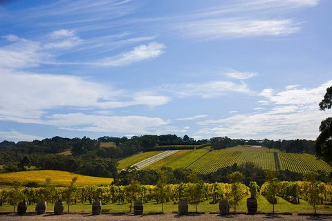 Mornington Peninsula Day Trip From Melbourne - Find Attractions 5