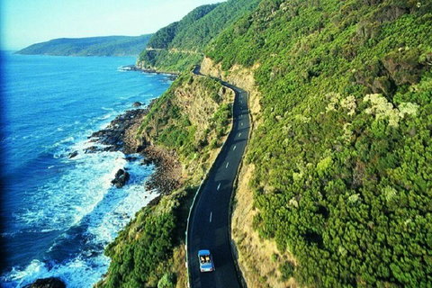 Melbourne Super Saver: Great Ocean Road + Mornington Peninsula + Attraction Pass - Find Attractions 0