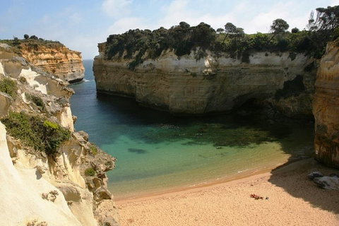 Melbourne Super Saver: Great Ocean Road + Mornington Peninsula + Attraction Pass - Find Attractions 3