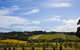 Melbourne Super Saver: Great Ocean Road + Mornington Peninsula + Attraction Pass - thumb 5