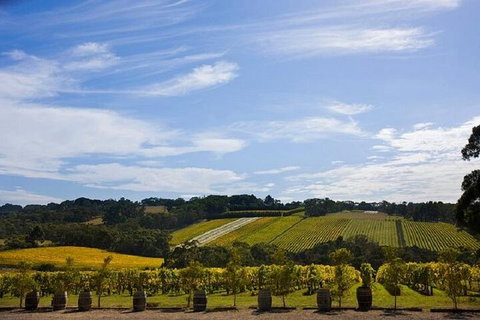 Melbourne Super Saver: Great Ocean Road + Mornington Peninsula + Attraction Pass - Find Attractions 5