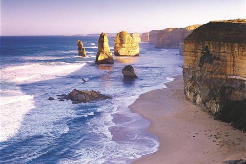 Melbourne Combo: Great Ocean Road, Puffing Billy, Moonlit Sanctuary & Penguins - Find Attractions 0
