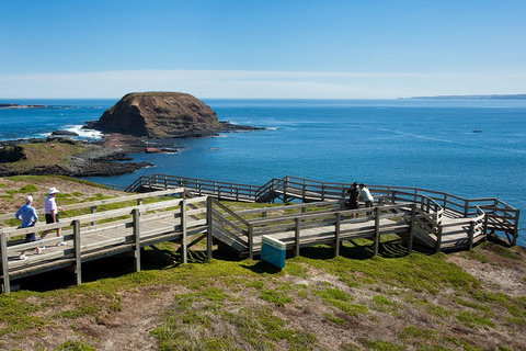 Melbourne Combo: Great Ocean Road, Puffing Billy, Moonlit Sanctuary & Penguins - Find Attractions 5