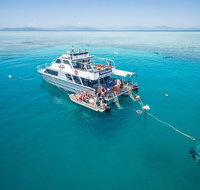 Ocean Freedom Great Barrier Reef Personal Luxury Snorkel  Dive Cruise Cairns - Find Attractions