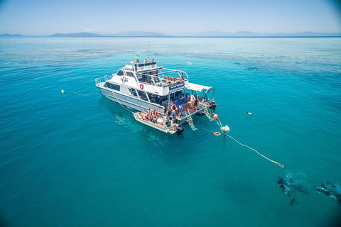 Ocean Freedom Great Barrier Reef Personal Luxury Snorkel & Dive Cruise, Cairns - Find Attractions 0