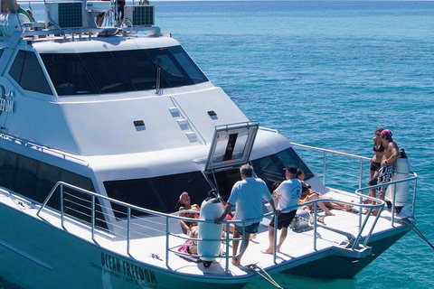 Ocean Freedom Great Barrier Reef Personal Luxury Snorkel & Dive Cruise, Cairns - Find Attractions 1