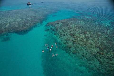 Ocean Freedom Great Barrier Reef Personal Luxury Snorkel & Dive Cruise, Cairns - Find Attractions 3