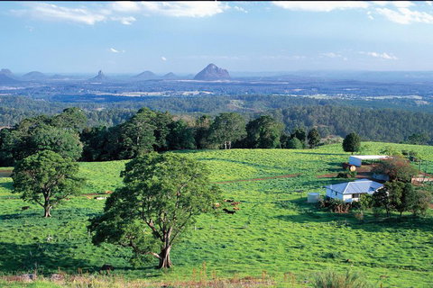 Full Day Sunshine Coast Hinterland Luxury Small Group Tour From Brisbane - Find Attractions 2