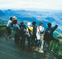 Springbrook National Park  Gold Coast Full Day Luxury Tour from Brisbane - Find Attractions