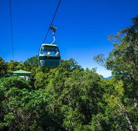 Classic Kuranda by Skyrail and Scenic Railway Including Rainforestation Koala and Wildlife Park and Pamagirri Aboriginal Experi - Find Attractions