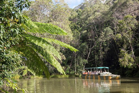 Best Of Kuranda Including Skyrail, Kuranda Scenic Railway And Rainforestation - Find Attractions 5