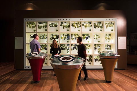 Australian Wine Discovery Tour Ticket - Find Attractions 3