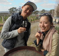Swan Valley River Cruise and Wine Tasting Day Trip from Perth - Find Attractions