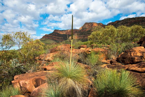 6-Day Eyre Peninsula & Flinders Ranges Adventure Tour - Find Attractions 1