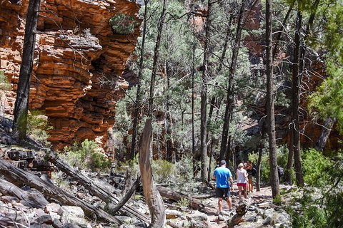 6-Day Eyre Peninsula & Flinders Ranges Adventure Tour - Find Attractions 5