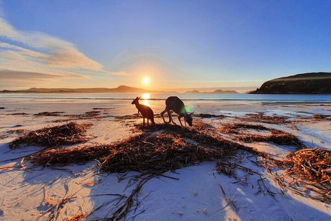 10-Day Perth To Adelaide Adventure Tour - Find Attractions 1