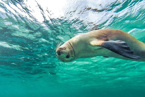 10-Day Adelaide To Perth Adventure Tour - Find Attractions 1