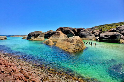 6 Day Esperance & Margaret River Adventure Tour - Find Attractions 3
