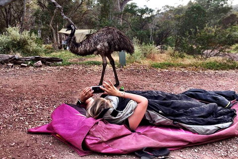 6 Day Esperance & Margaret River Adventure Tour - Find Attractions 5